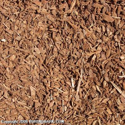Pebble Bark