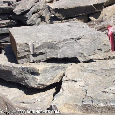 Basalt A-Split