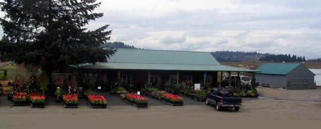 Boring Bark Panorama