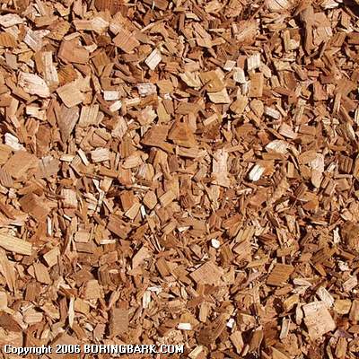 Cedar Chips