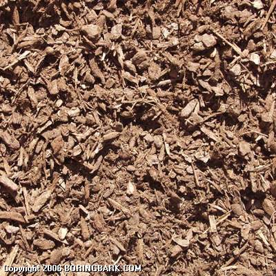 Pebble Bark