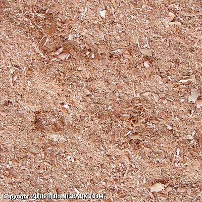 Sawdust