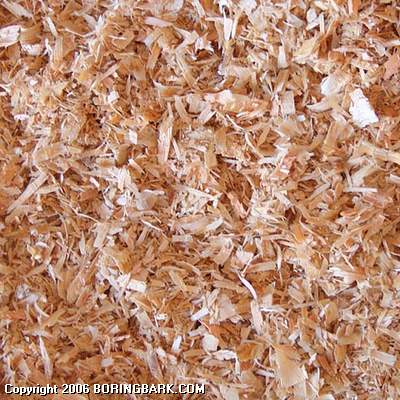 Shavings