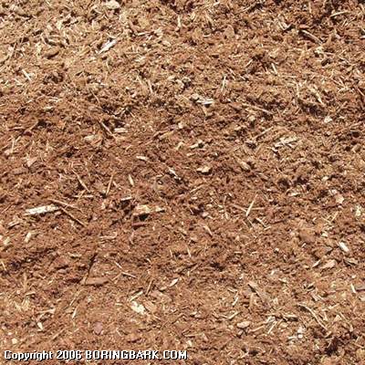 medium fir bark