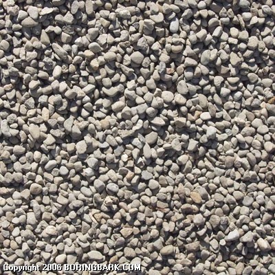 Pea Gravel