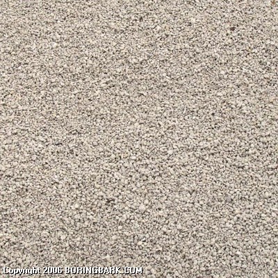 Pumice