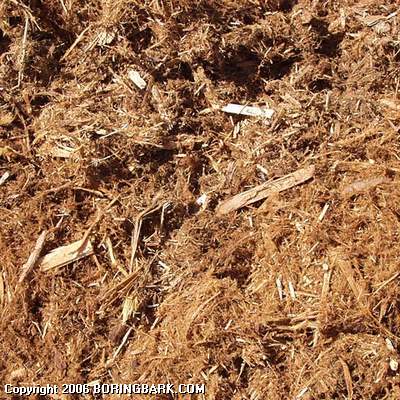 Shredded Cedar Hog Fuel