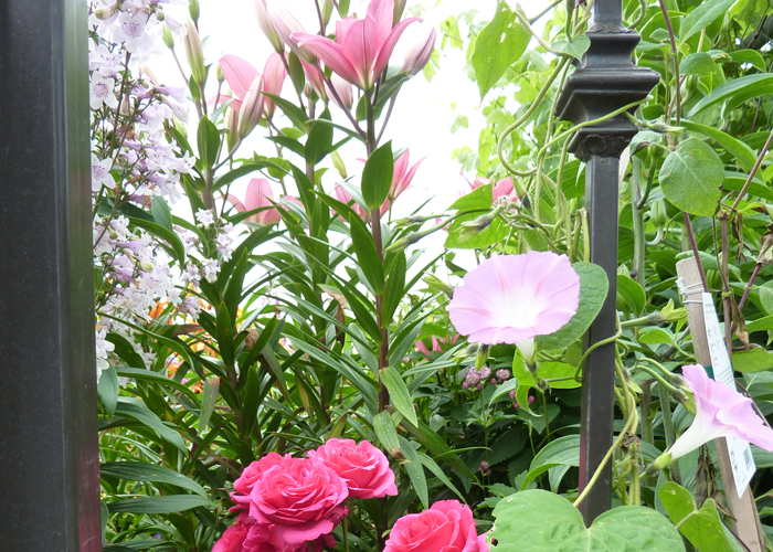 images/demo/pict16.jpg