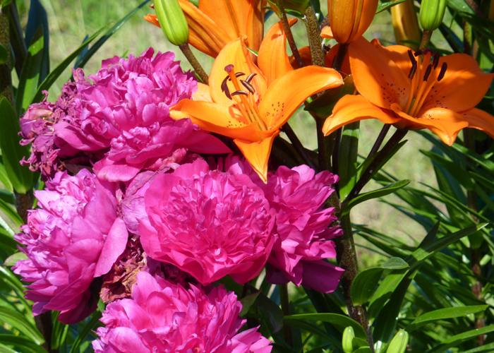 images/demo/pict24.jpg