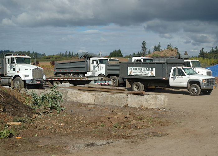 images/demo/pict4.jpg