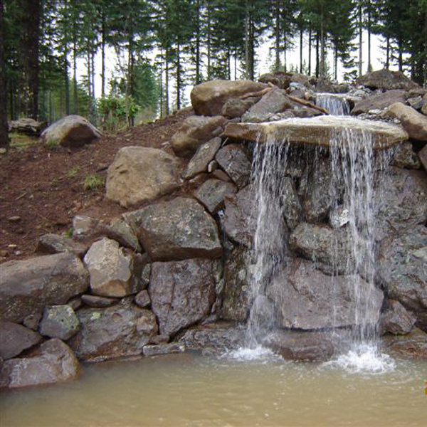 images/pond/pond2.jpg
