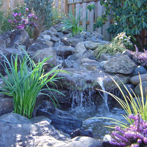 Pond Supplies & Pumps