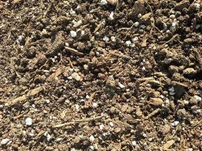 Topsoil